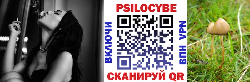Псилоцибиновые грибы мухоморы  где можно купить наркотик  Волгореченск 